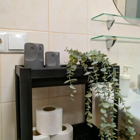 з прекрасним панорамним видом на замок та гори Appartement *