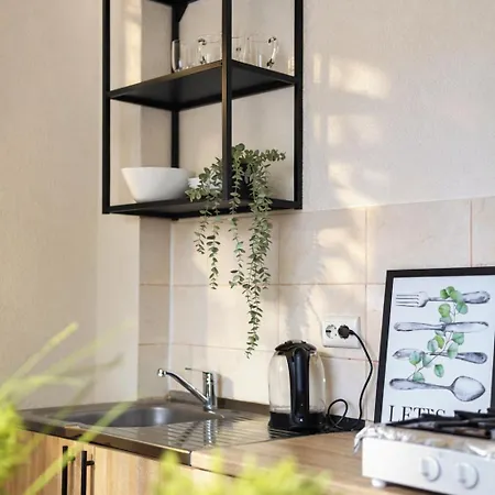 з прекрасним панорамним видом на замок та гори Appartement Moekatsjeve
